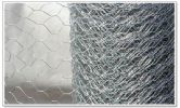 Hexagonal Wire Mesh